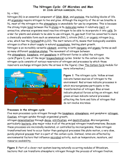 The Nitrogen Cycle: Of Microbes and Men