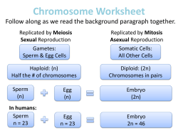 Meiosis PP - Humble ISD