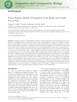 Passive Robotic Models of Propulsion by the Bodies and Caudal