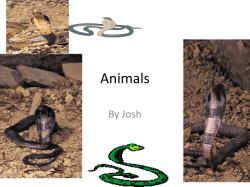Animals - Mosinee School District