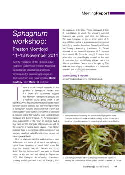 Sphagnum workshop: