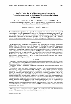 In uivo Production of a Tissue-destructive Protease by
