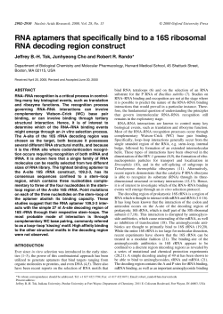 RNA aptamers that specifically bind to a 16S