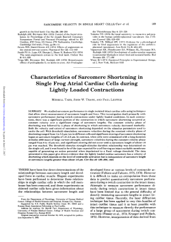 Characteristics of Sarcomere Shortening in Single Frog Atrial
