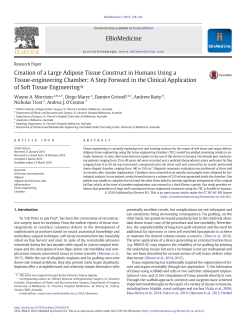 Creation of a Large Adipose Tissue Construct in Humans Using a