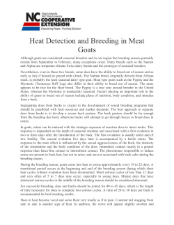 Heat Detection and Breeding in Meat Goats