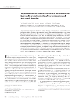 Adiponectin Depolarizes Parvocellular Paraventricular Nucleus
