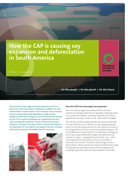 Read how the CAP is causing soy expansion and deforestation