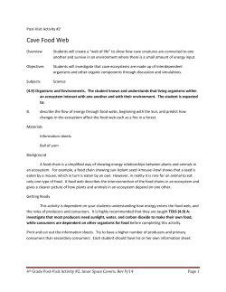 Cave Food Web - Inner Space Cavern