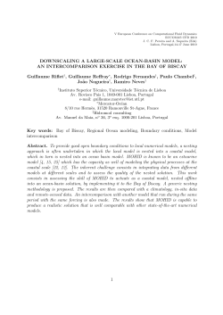 DOWNSCALING A LARGE-SCALE OCEAN