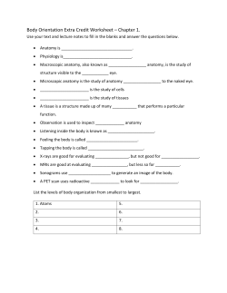 Body Orientation Extra Credit Worksheet &ndash; Chapter 1.