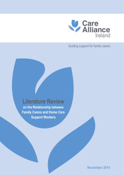Literature Review on the Relationship between Family Carers and