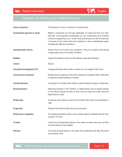 Glossary of terms Glossary for Kidney and Ureteral Stones