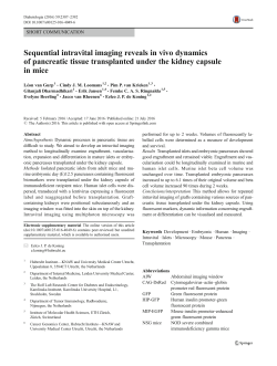 Sequential intravital imaging reveals in vivo dynamics of pancreatic