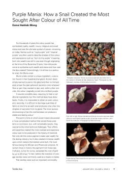 Purple Mania: How a Snail Created the Most Sought After