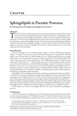 Sphingolipids in Parasitic Protozoa