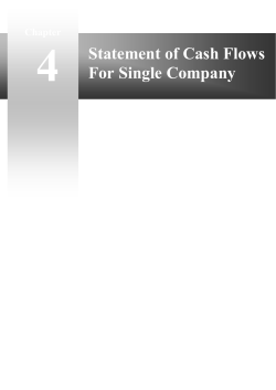Statement of Cash Flows For Single Company