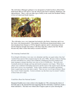 The wild turkey - South Carolina Parks