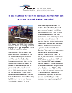 Is sea level rise threatening ecologically important salt marshes in