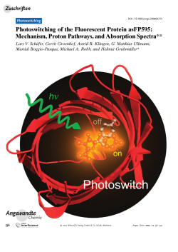 Photoswitching of the Fluorescent Protein asFP595 - Max