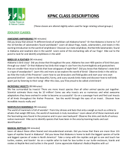 KPNC CLASS DESCRIPTIONS