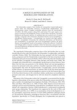 A molecular phylogeny of the remoras and their relatives.
