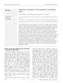 Instructive simulation of the bacterial cell division cycle