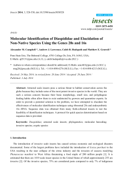 Molecular Identification of Diaspididae and Elucidation of Non