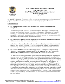 How Animal Shelters Are Beating Ringworm