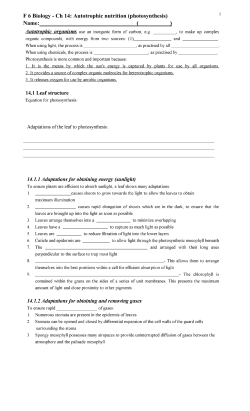 F 6 Biology - Ch 14: Autotrophic nutrition (photosynthesis) Name: ( )