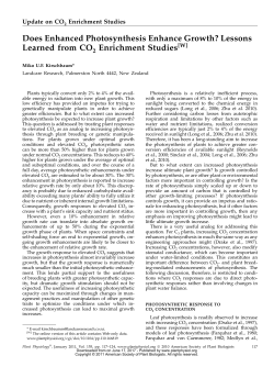 Does Enhanced Photosynthesis Enhance Growth?