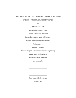 PDF-1 - RUcore - Rutgers University