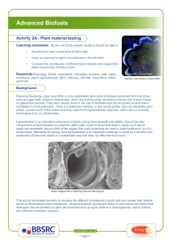 Plant Material Testing - University of Nottingham