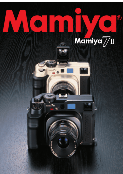 Untitled - Galerie Photo