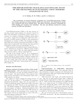 the repair enzyme uracil-dna-glycosylase: study of