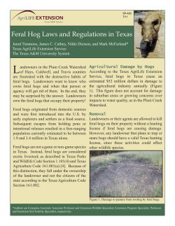Feral Hog Laws and Regulations in Texas