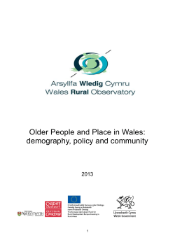 Full Report - Wales Rural Observatory