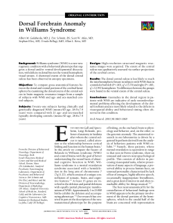 Dorsal Forebrain Anomaly in Williams Syndrome