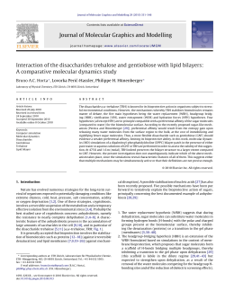 Interaction of the disaccharides trehalose and