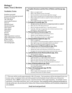 Biology I Unit 2 Test 2 Review