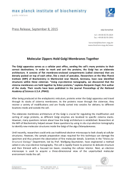 Press Release, September 8, 2015 Molecular Zippers Hold Golgi