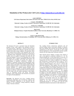 Simulation of the Prokaryotic Cell Cycle at http://simon.bio.uva.nl