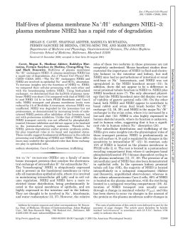 Half-lives of plasma membrane Na /H exchangers NHE1&ndash;3 - AJP-Cell
