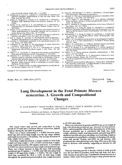 Lung Development in the Fetal Primate Macaca nemestrina