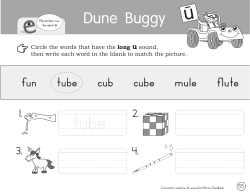 Dune Buggy