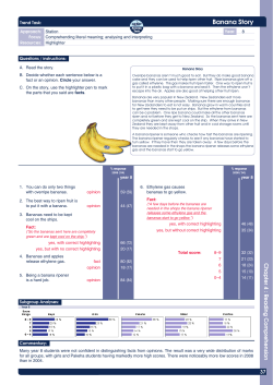Banana Story