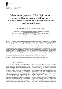 Palynofacies patterns of the Highveld coal deposits (Karoo Basin