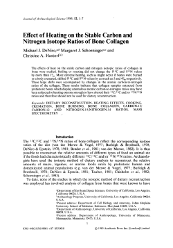 Effect of Heating on the Stable Carbon and Nitrogen Isotope Ratios