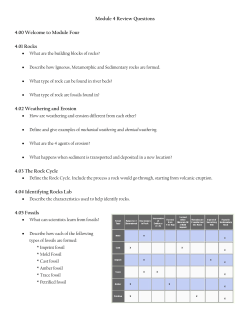 Module 4 Review Questions 4.00 Welcome to Module Four 4.01