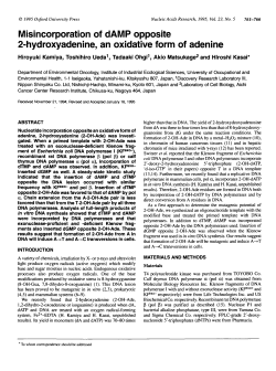 Misincorporation of dAMP opposite 2